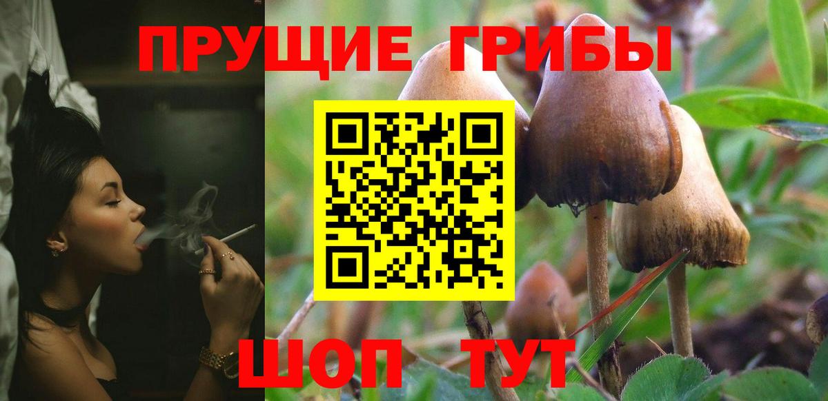 Галлюциногенные грибы прущие грибы Тобольск